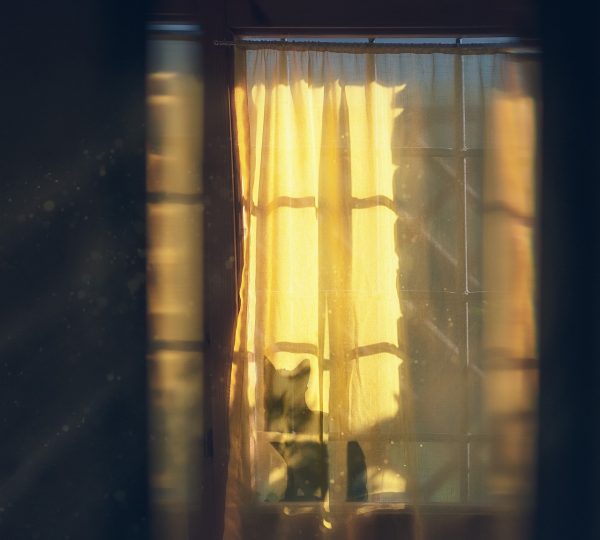 Visillos y cortinas